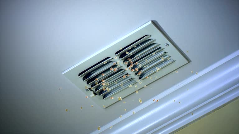 Best Professional Duct Cleaning Services  in Leachville, AR