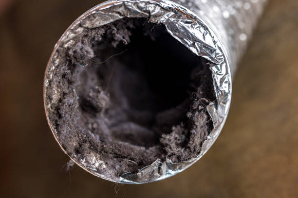Best HVAC System Cleaning  in Leachville, AR